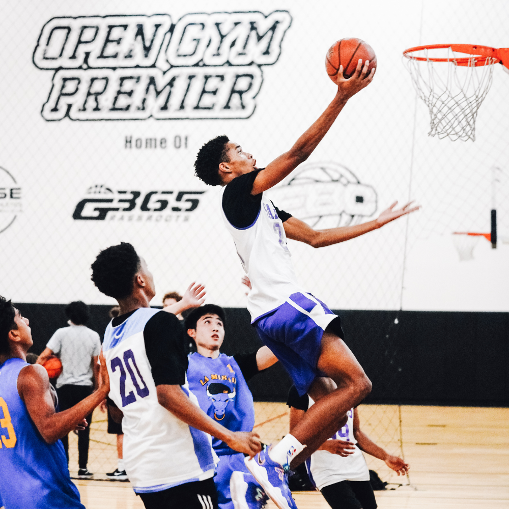 Home Open Gym Premier